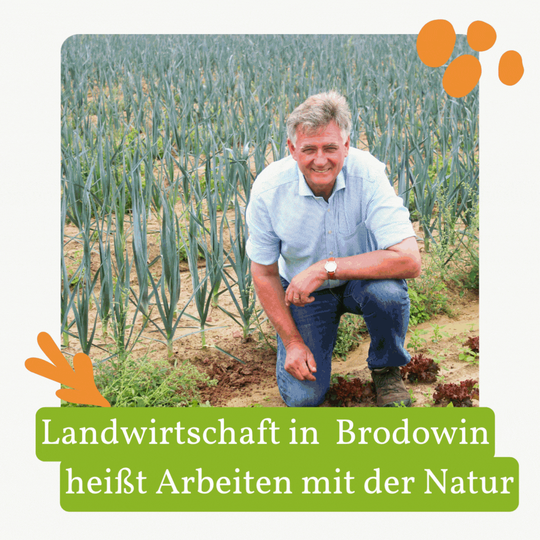 KI generiert: Ein Mann in einem Feld. Text: "Landwirtschaft in Brodowin heißt Arbeiten mit der Natur".