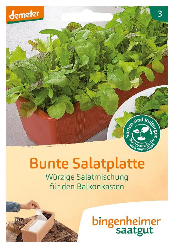 Produktfoto zu Saatgut Salatplatte