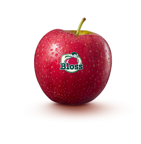 Produktfoto zu Apfel Bloss