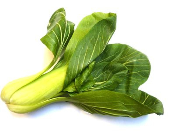 Produktfoto zu Pak Choi, Senfkohl