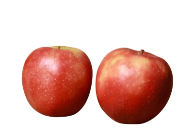 Produktfoto zu Apfel Jonagored