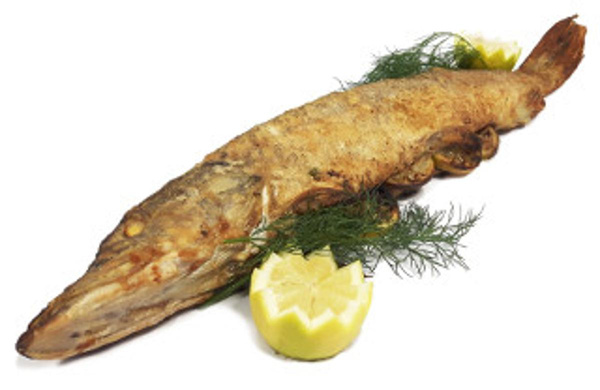 Produktfoto zu 10 Minuten Hecht