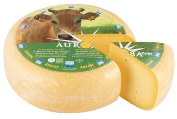 Produktfoto zu Gouda Jersey