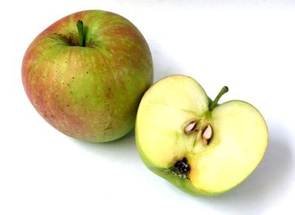 Produktfoto zu Apfel Delbar Estival