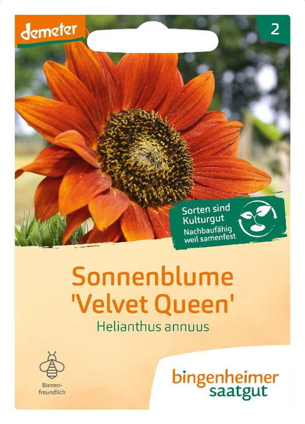 Produktfoto zu Saatgut Sonnenblume