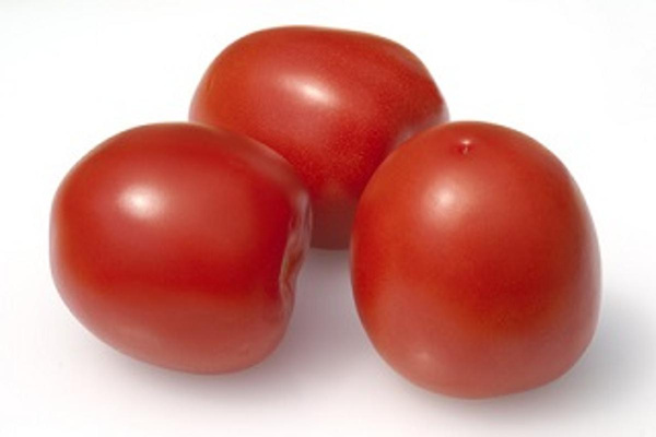 Produktfoto zu Romatomate