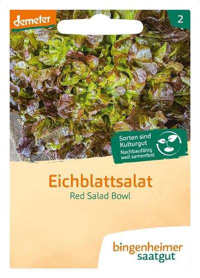 Produktfoto zu Saatgut Eichblatt Red Salad Bowl