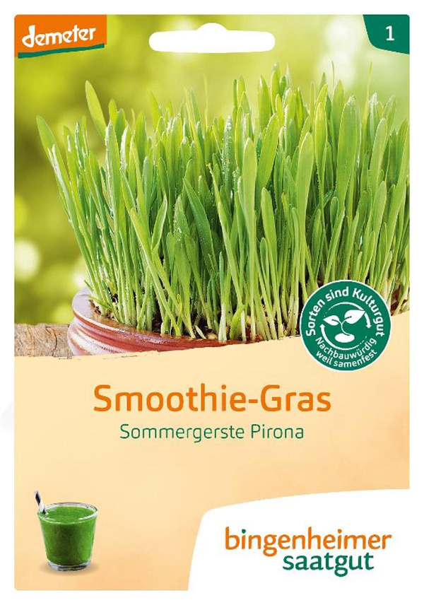 Produktfoto zu Saatgut Smoothie Gras