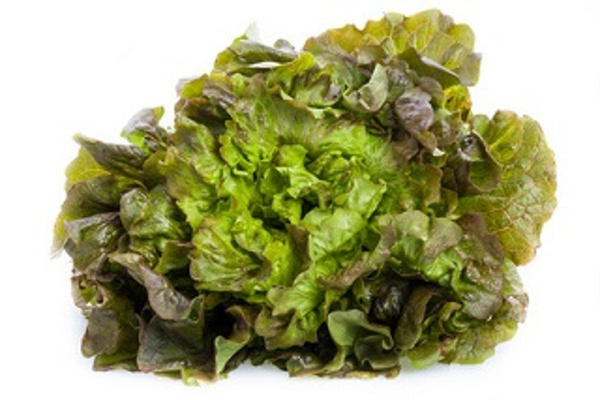 Produktfoto zu Salat, wechselnde Sorten