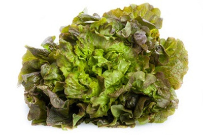 Produktfoto zu Salat, wechselnde Sorten