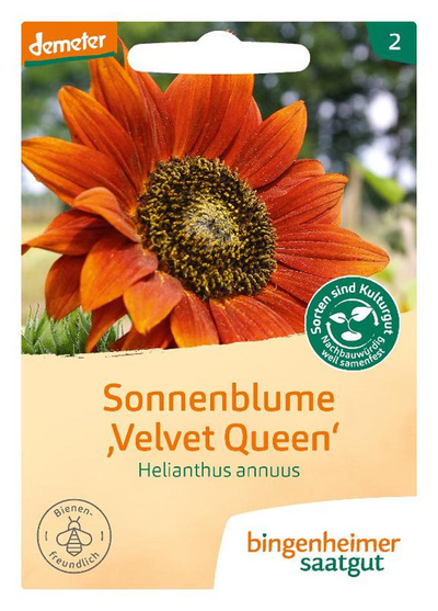 Produktfoto zu Saatgut Sonnenblume