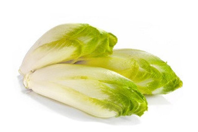 Produktfoto zu Chicoree