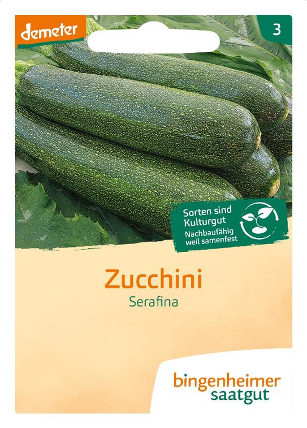 Produktfoto zu Saatgut Zucchini Serafina