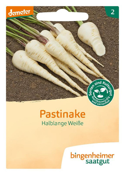 Produktfoto zu Saatgut Pastinake