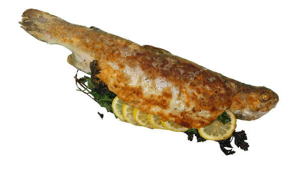 Produktfoto zu 10 Minuten Lachsforelle, ca. 600 g vorgegart