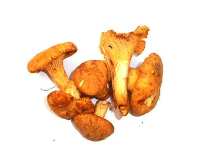 Produktfoto zu Pfifferlinge