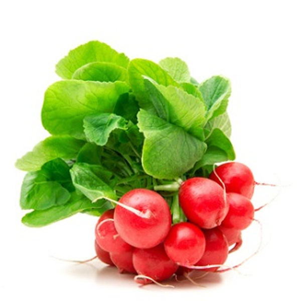 Produktfoto zu Radieschen