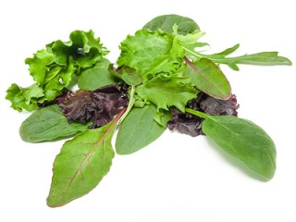 Produktfoto zu Mixsalat, 100 g