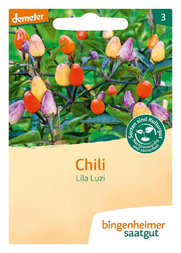 Produktfoto zu Saatgut Lila Luzi-Peperoni