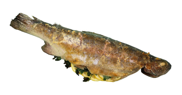 Produktfoto zu 10 Minuten Saibling, ca. 600 g vorgegart