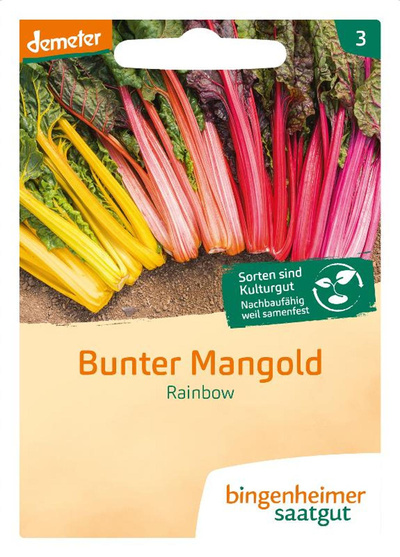 Produktfoto zu Saatgut Bunter Mangold Rainbow
