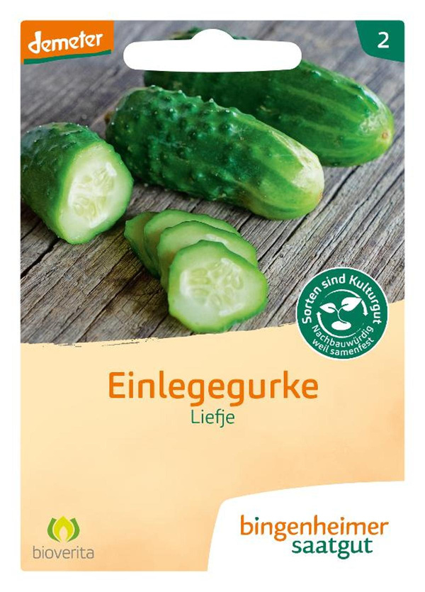 Produktfoto zu Saatgut Liefje - Einlegegurke