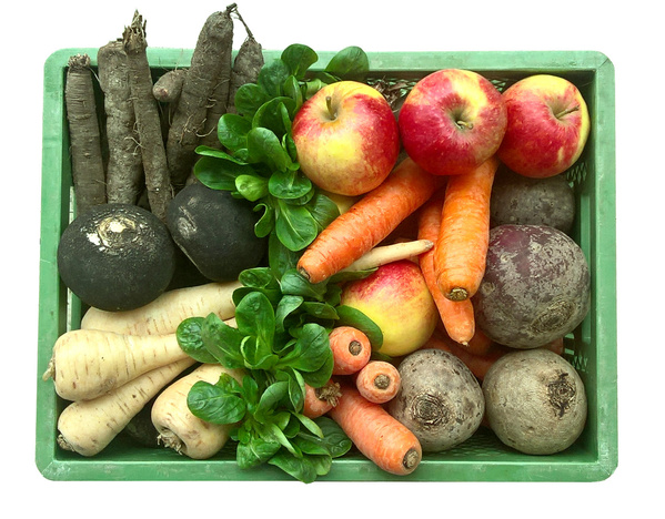 KI generiert: Eine Kiste mit Obst und Gemüse: Äpfel, Karotten, Rote Bete, Schwarzwurzeln, Schwarzer Rettich, Feldsalat, Pastinaken.
