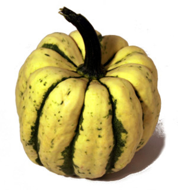 Produktfoto zu Kürbis Sweet Dumpling