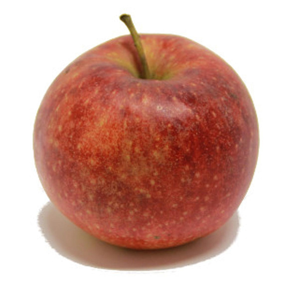 Produktfoto zu Apfel Roter Altländer