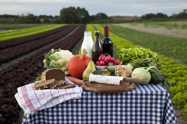 KI generiert: Ein Tisch mit frischem Gemüse, Brot, Wurst, Wein und Milch auf einer karierten Tischdecke, im Hintergrund ein Feld.
