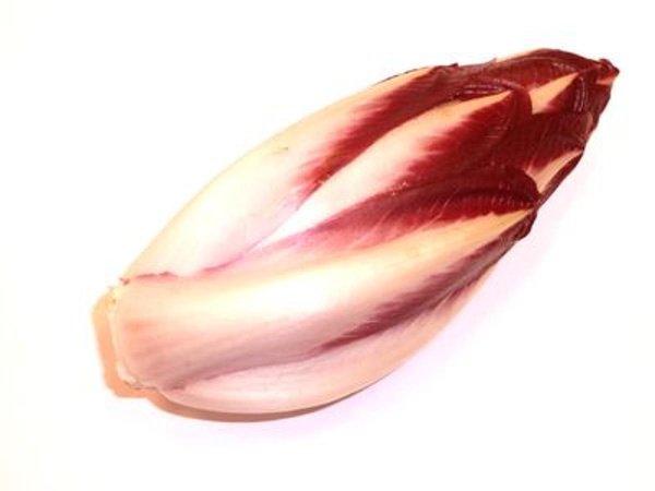 Produktfoto zu Roter Chicoree
