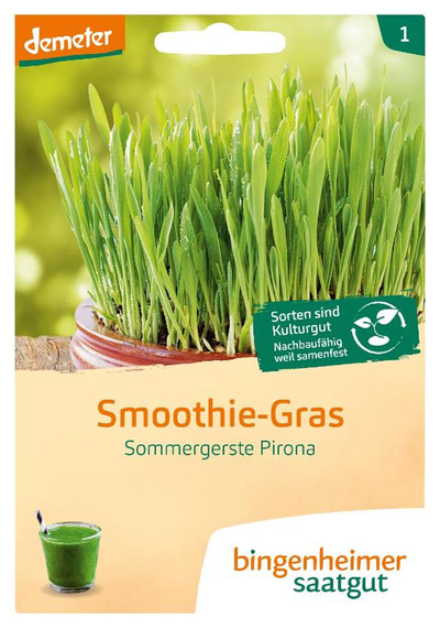 Produktfoto zu Saatgut Smoothie Gras