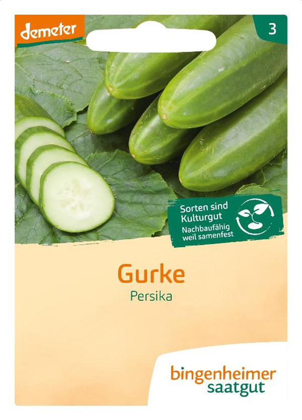 Produktfoto zu Saatgut Freilandgurke