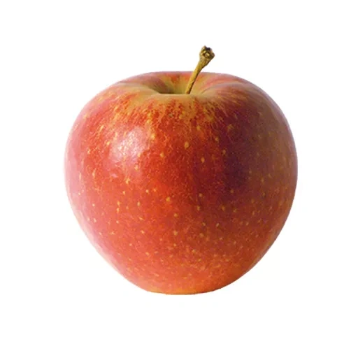 Produktfoto zu Apfel Wellant