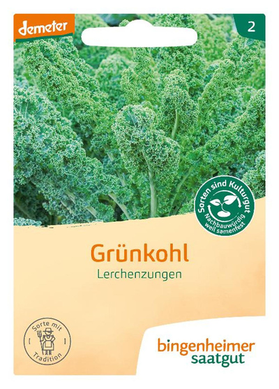 Produktfoto zu Saatgut Grünkohl
