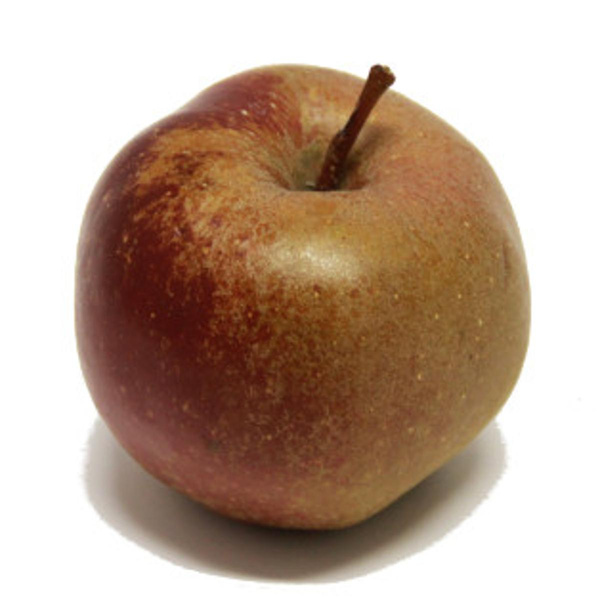 Produktfoto zu Apfel Boskoop