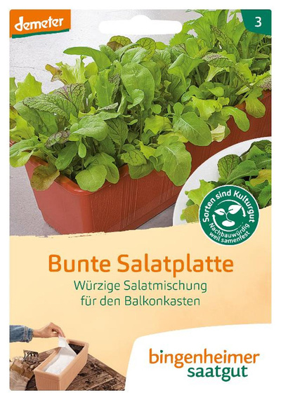 Produktfoto zu Saatgut Salatplatte