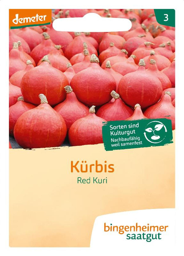 Produktfoto zu Saatgut Hokkaido Kürbis