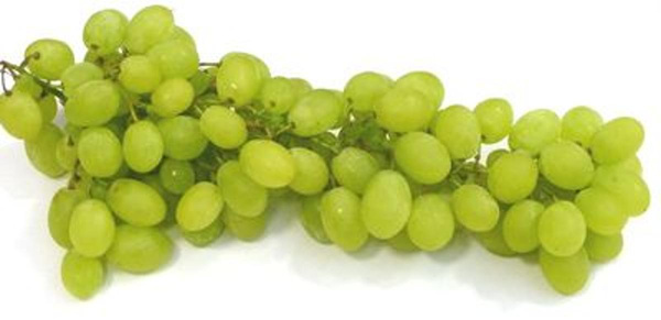Produktfoto zu Trauben, weiß, kernlos