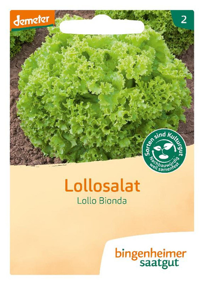 Produktfoto zu Saatgut Lollo Bionda - Lollosalat