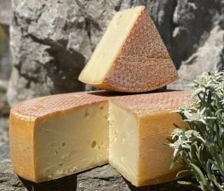 Produktfoto zu Zillertaler Alpenstürmer