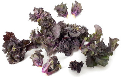 Produktfoto zu Flower Sprout