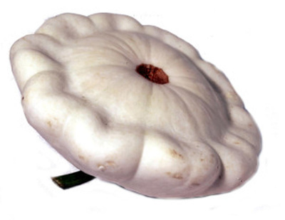 Produktfoto zu Kürbis Patisson