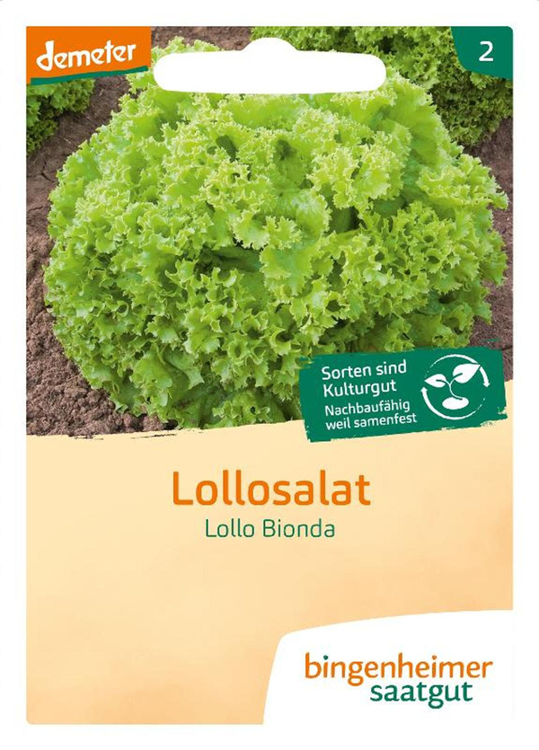 Produktfoto zu Saatgut Lollo Bionda - Lollosalat