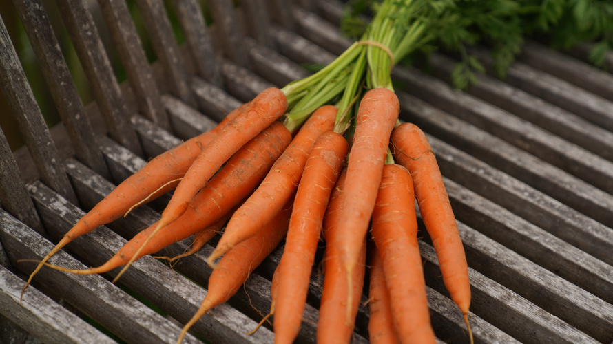 Rezeptbild für Möhren Quiche