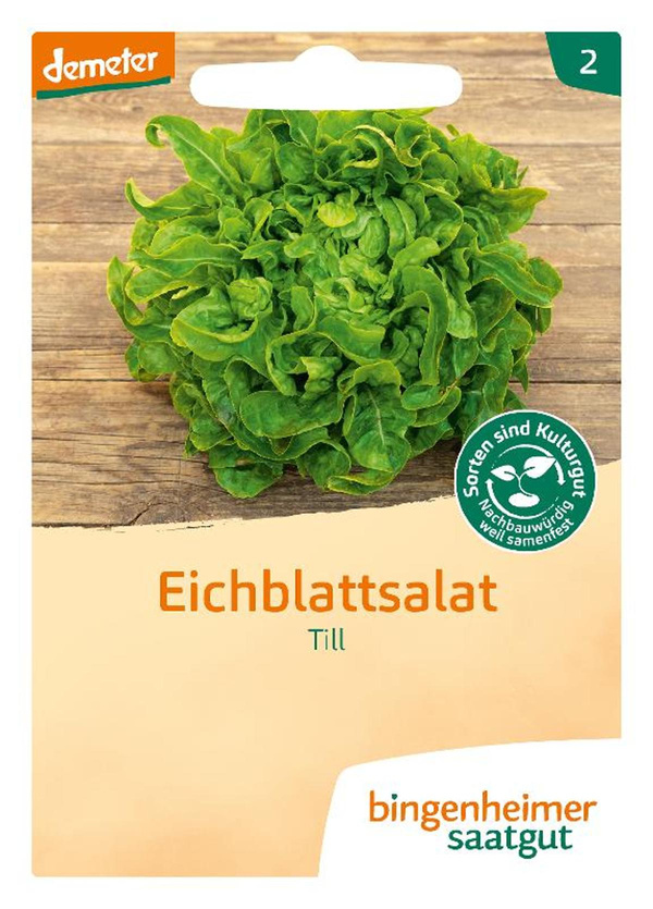 Produktfoto zu Saatgut Eichblattsalat
