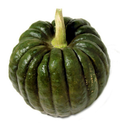 Produktfoto zu Kürbis Futsu Black