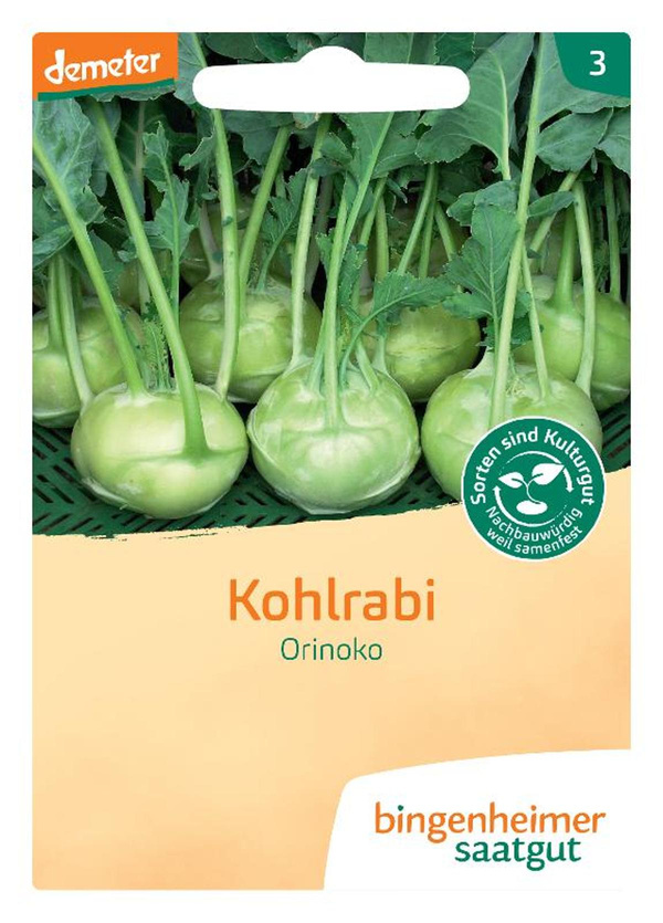 Produktfoto zu Saatgut Kohlrabi weiß