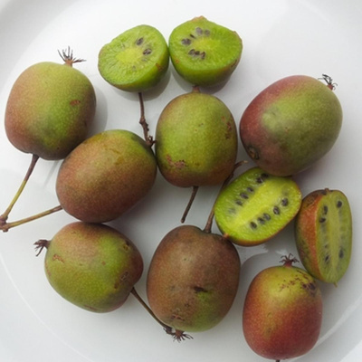 Produktfoto zu Kiwibeeren, 150 g