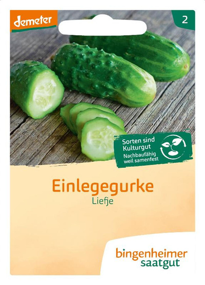 Produktfoto zu Saatgut Liefje - Einlegegurke